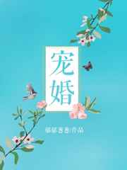 宠婚晚爱小说
